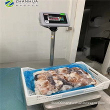 Dosidicus gigas squid neck import from Peru